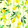 CAMISA MYKONOS INTERVENIDAS - Limoncello